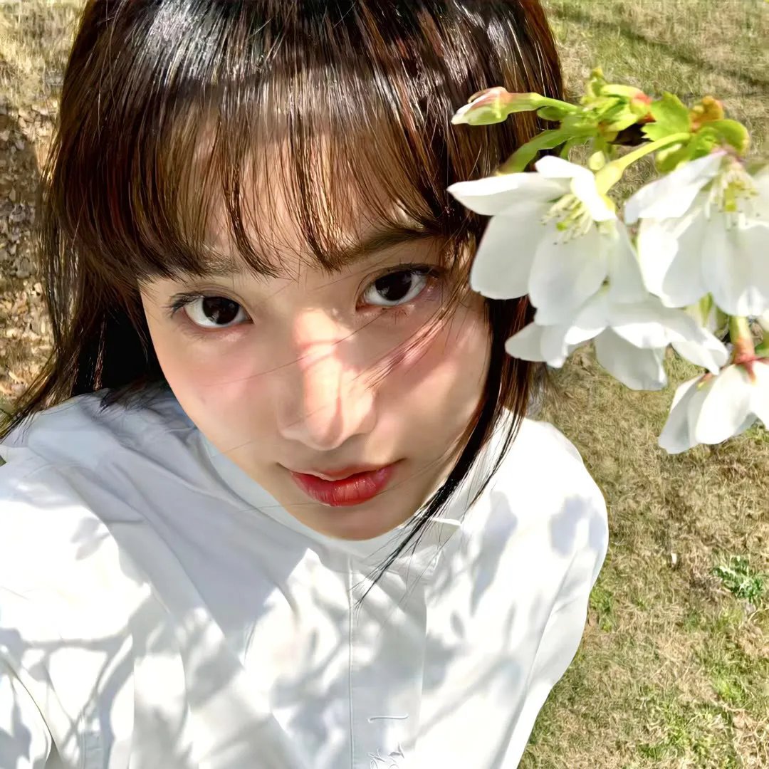 布鲁特斯的心脏